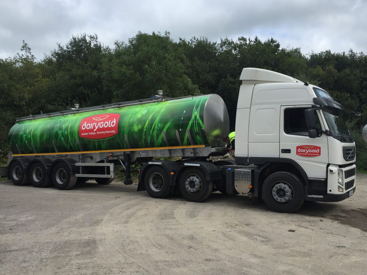 Dairygold announces milk price and bonus for January