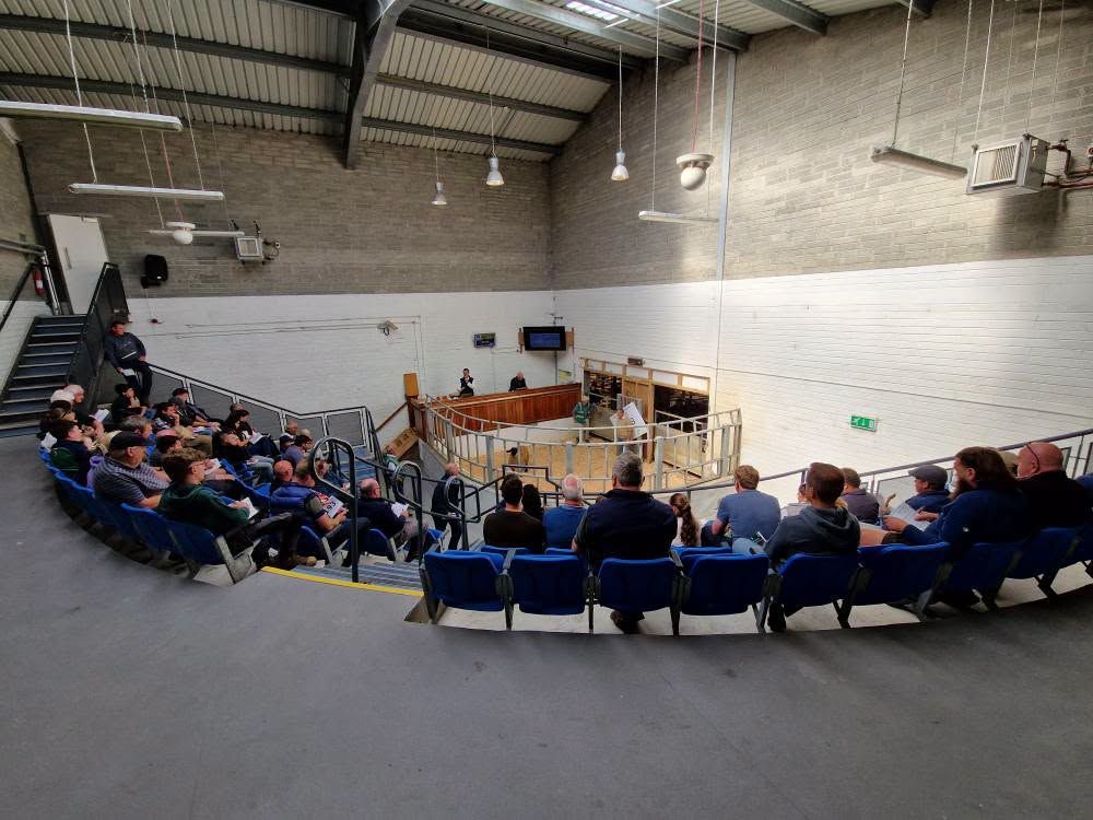 Drop in factory quotes impacts cattle clearance rate at Kilkenny Mart