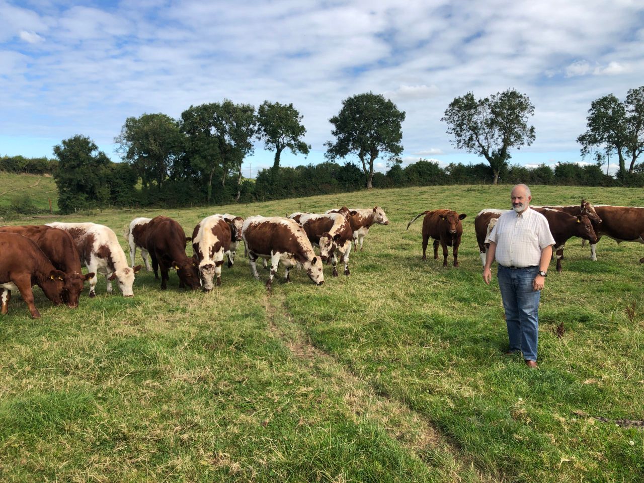 Beef Focus revisit: Breeding, rearing and processing rare breed beef at Killua Castle