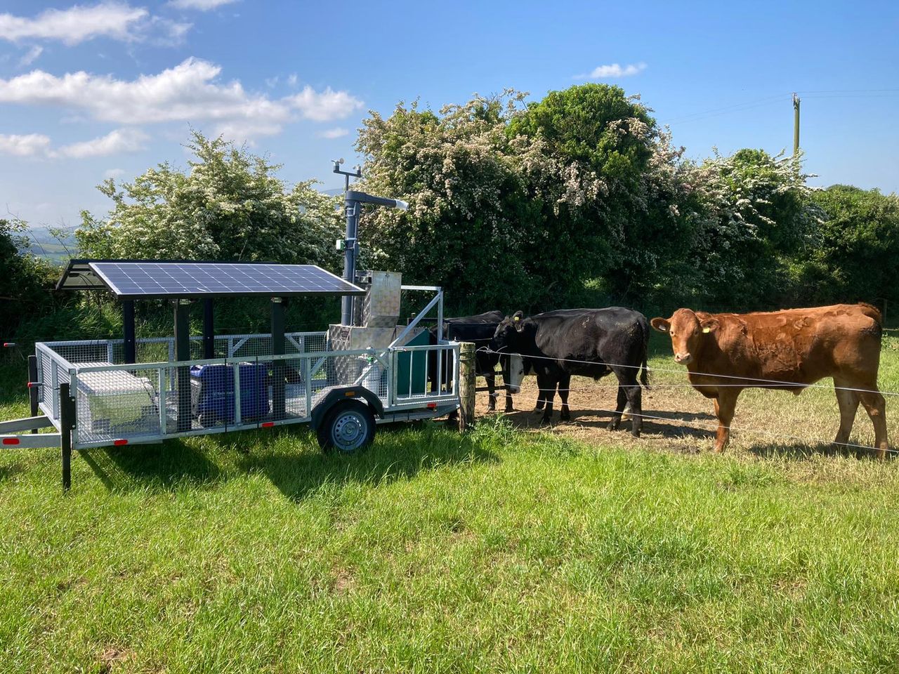 ABP Demo Farm: GreenFeed, reseeds and average weights