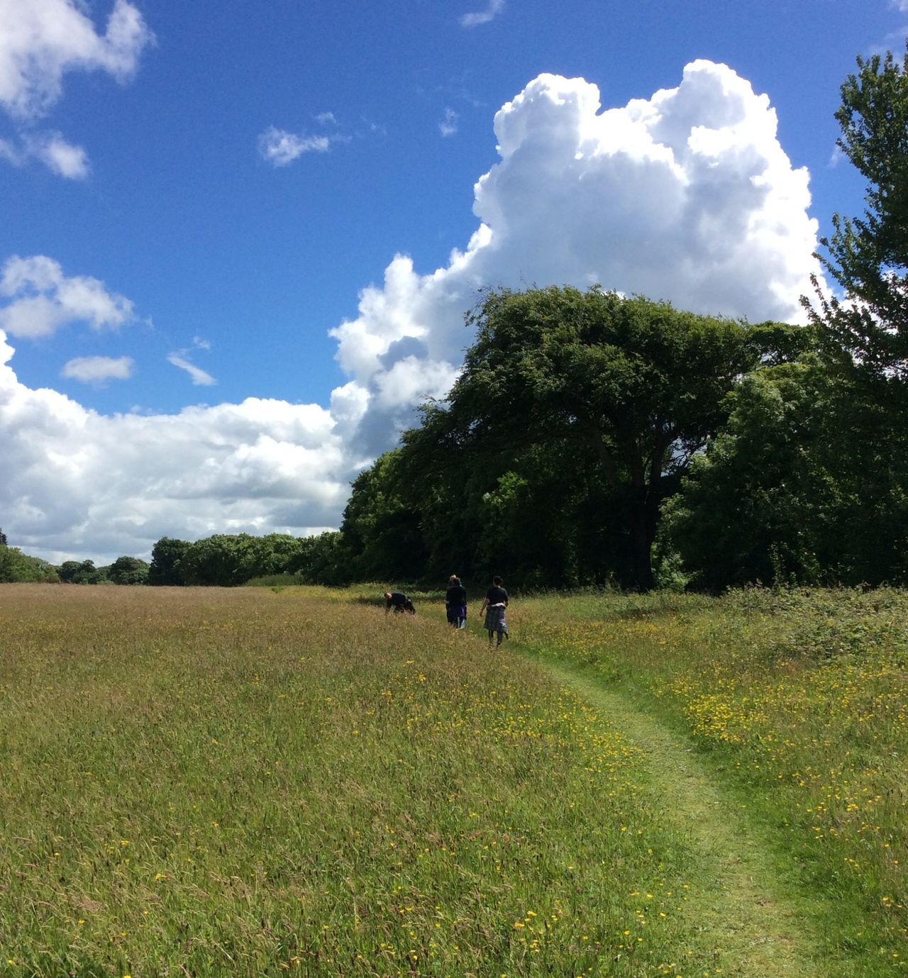 GMIT: 'Vision for Biodiversity' plan to support conservation