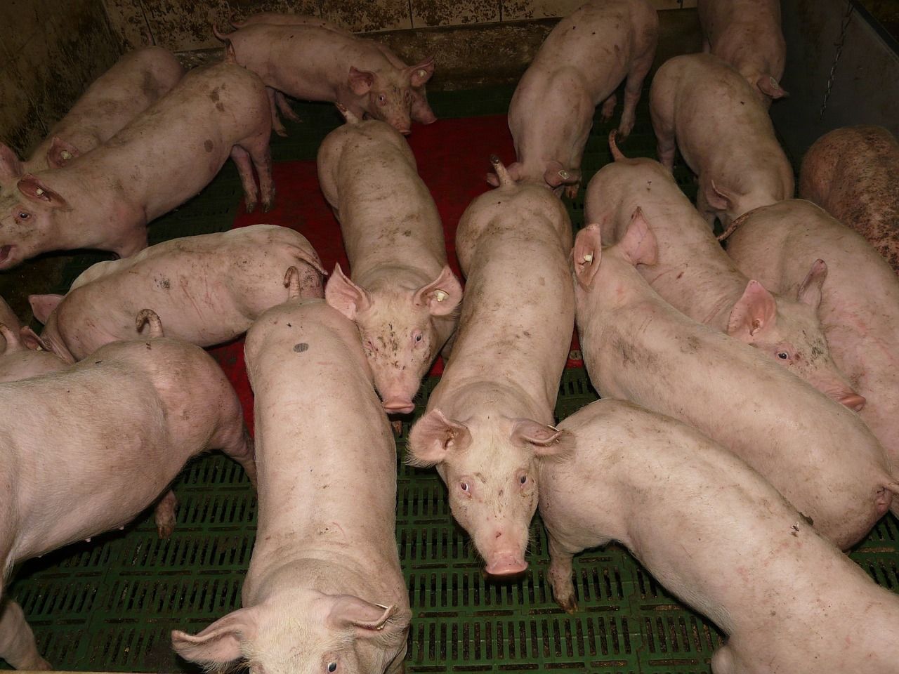Emissions directive 'worries' EU farmers - Copa