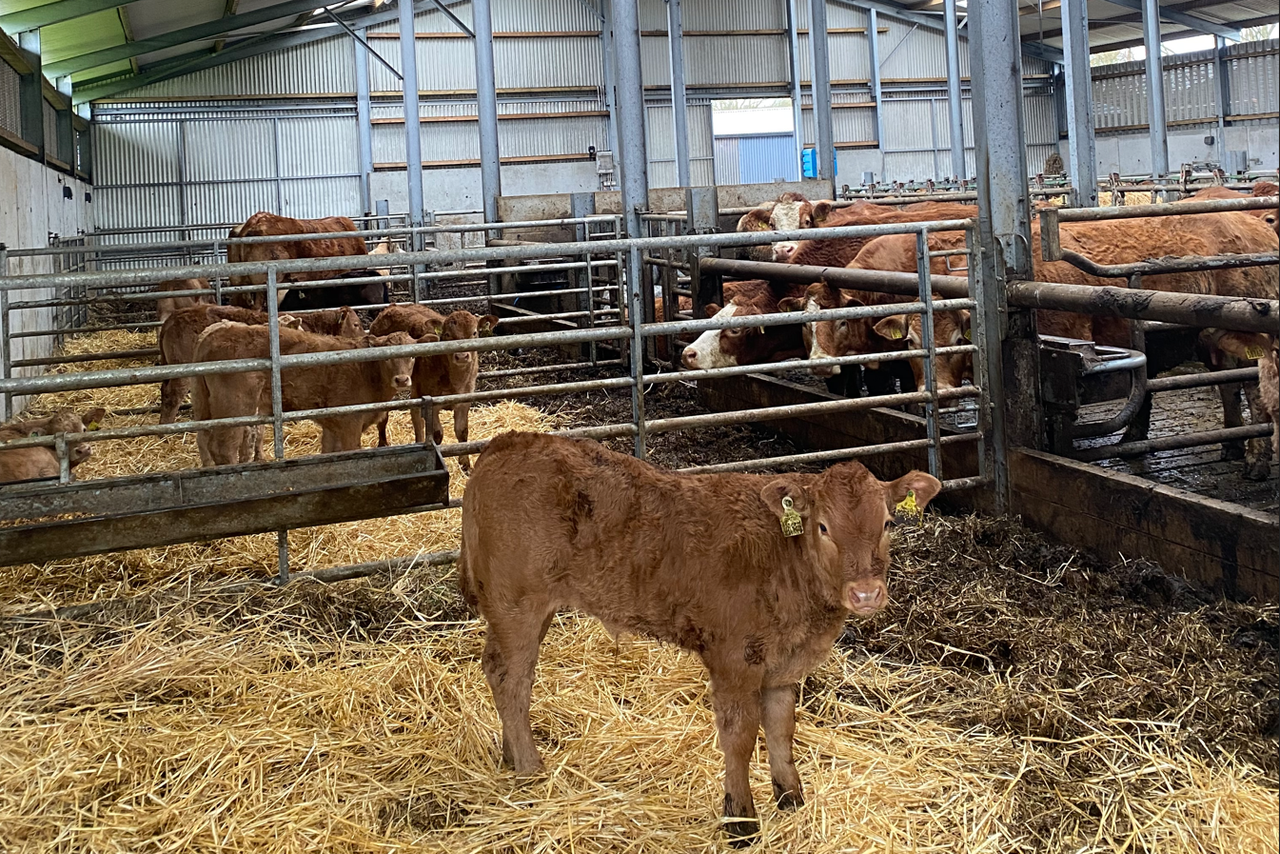 Weather woes highlighted on ABP monitor farms in Sligo