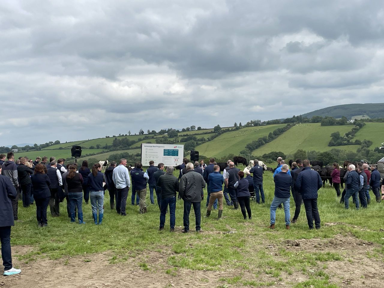 How many farmers are in the Advantage Beef Programme?