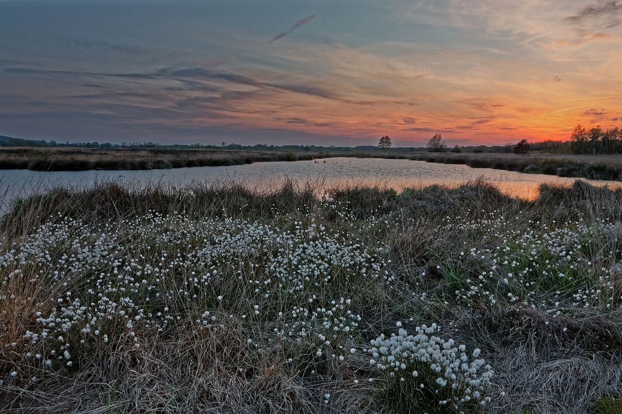 Review: Ireland has 'deficiencies' in designation of Natura 2000 sites