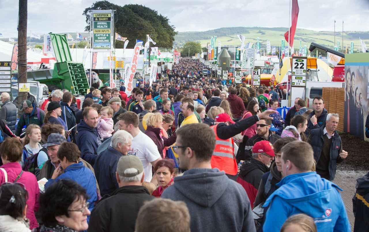 Taking time off for the National Ploughing Championships