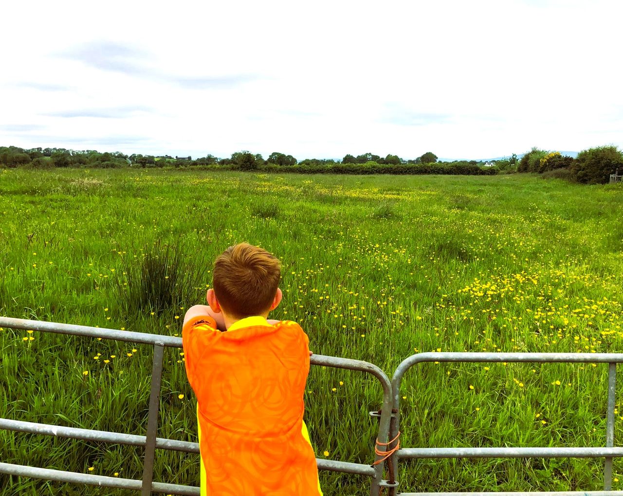 Warmer temperatures and erratic rainfall 'taking a toll' on NI farmers - research 