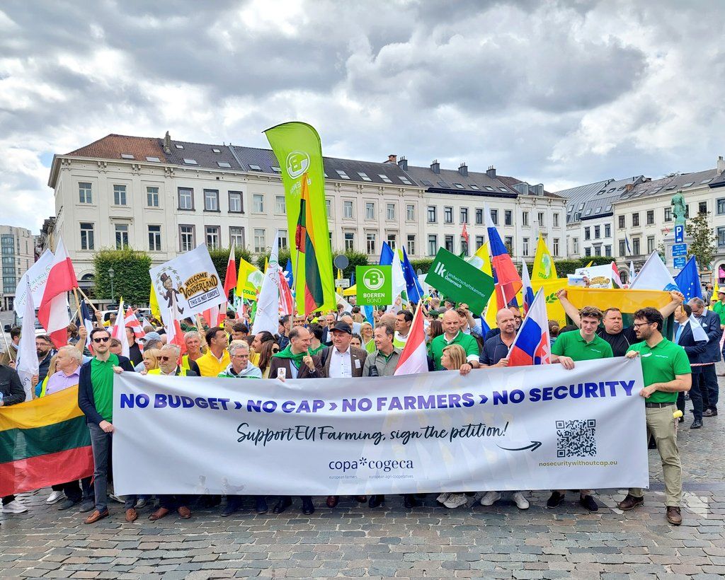 Farmers protest in Brussels ahead of CAP proposals being unveiled