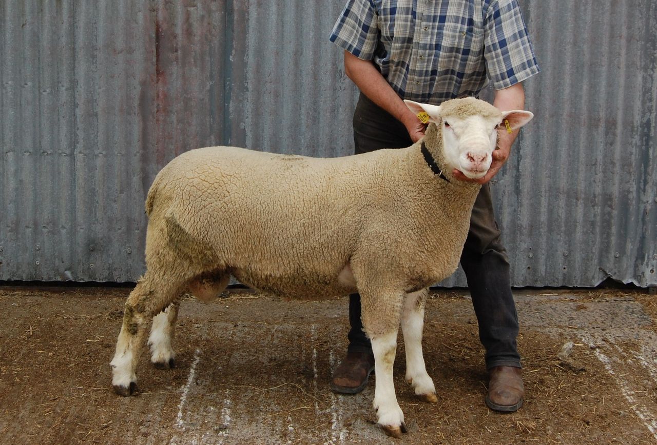 Now is the time to put your ram through its NCT