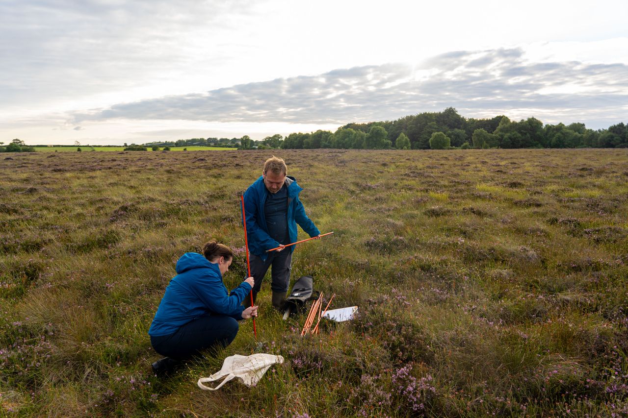 Bogland biodiversity and how it can help mitigate climate change