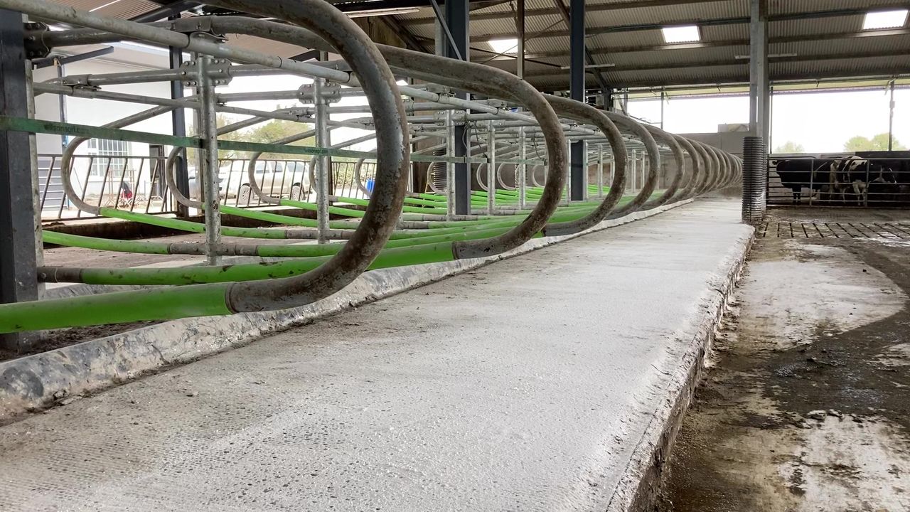 The importance of using lime this housed period