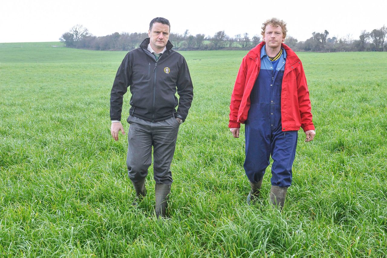 Lots of grass on Golden Vale dairy farm