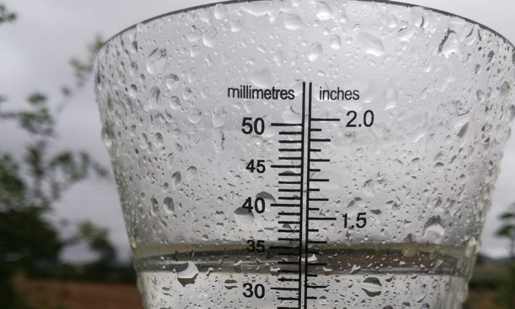 Harvest weather causing serious problems for tillage farmers