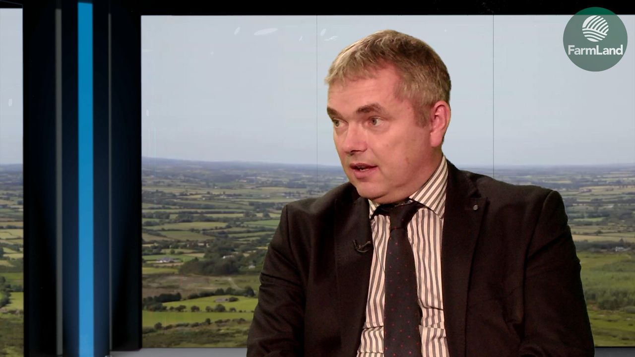 'Trying year' for potatoes with supply predictions 'on knife-edge'
