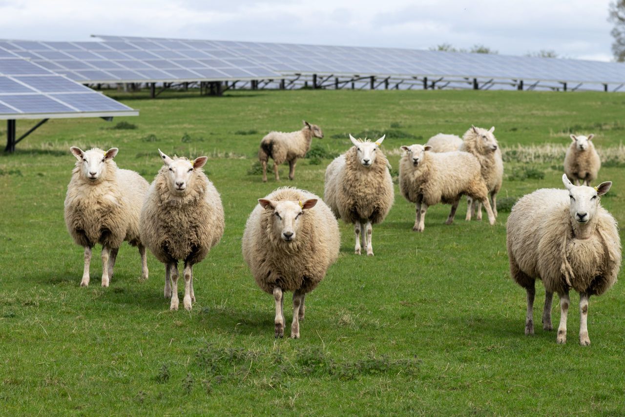 Secure your family land with solar