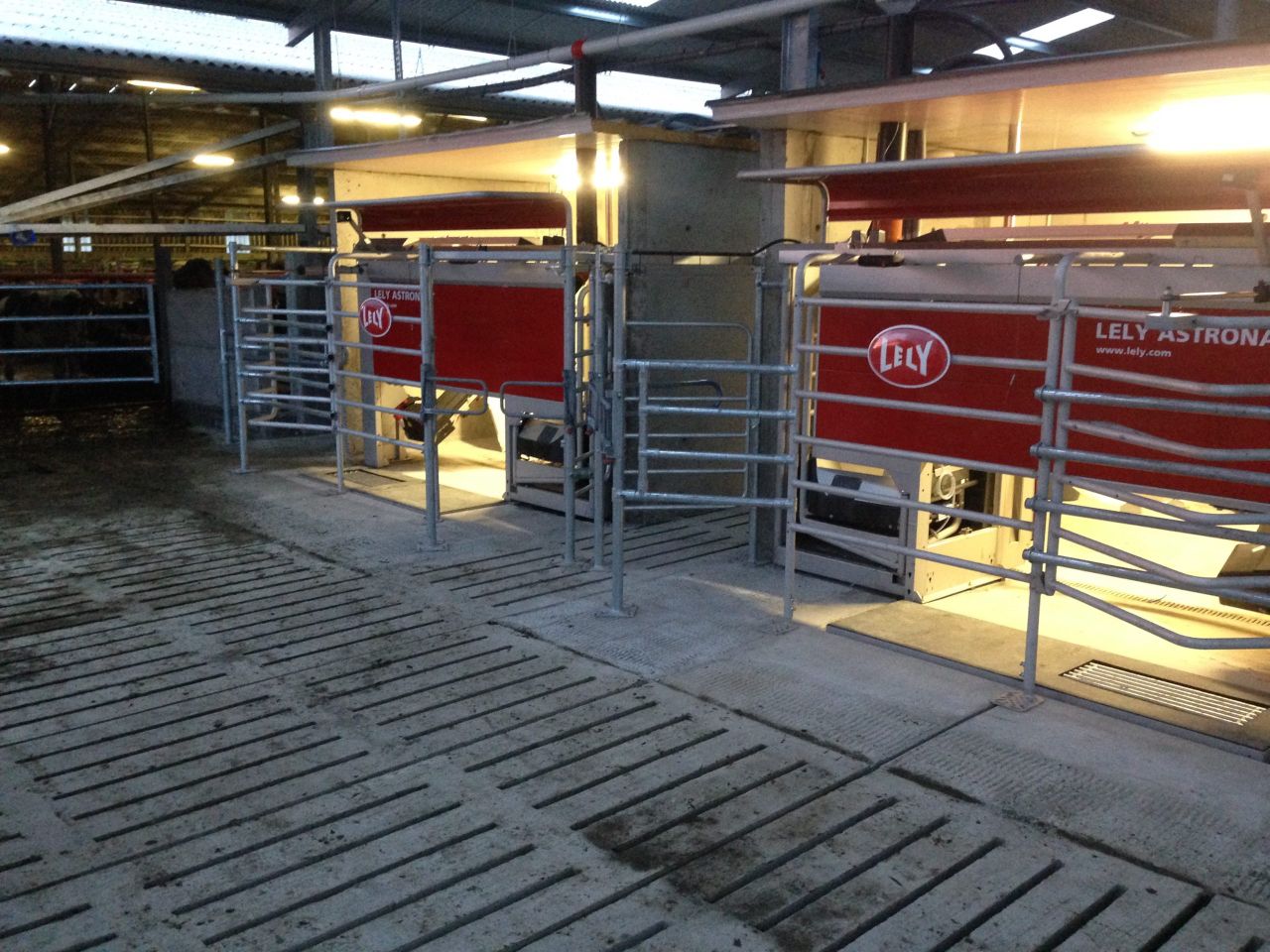 Dairy Focus: 20 years of robotic milking on this organic farm