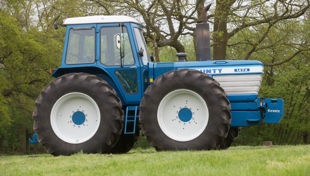 Ahead by a nose: How much is this oddity worth?
