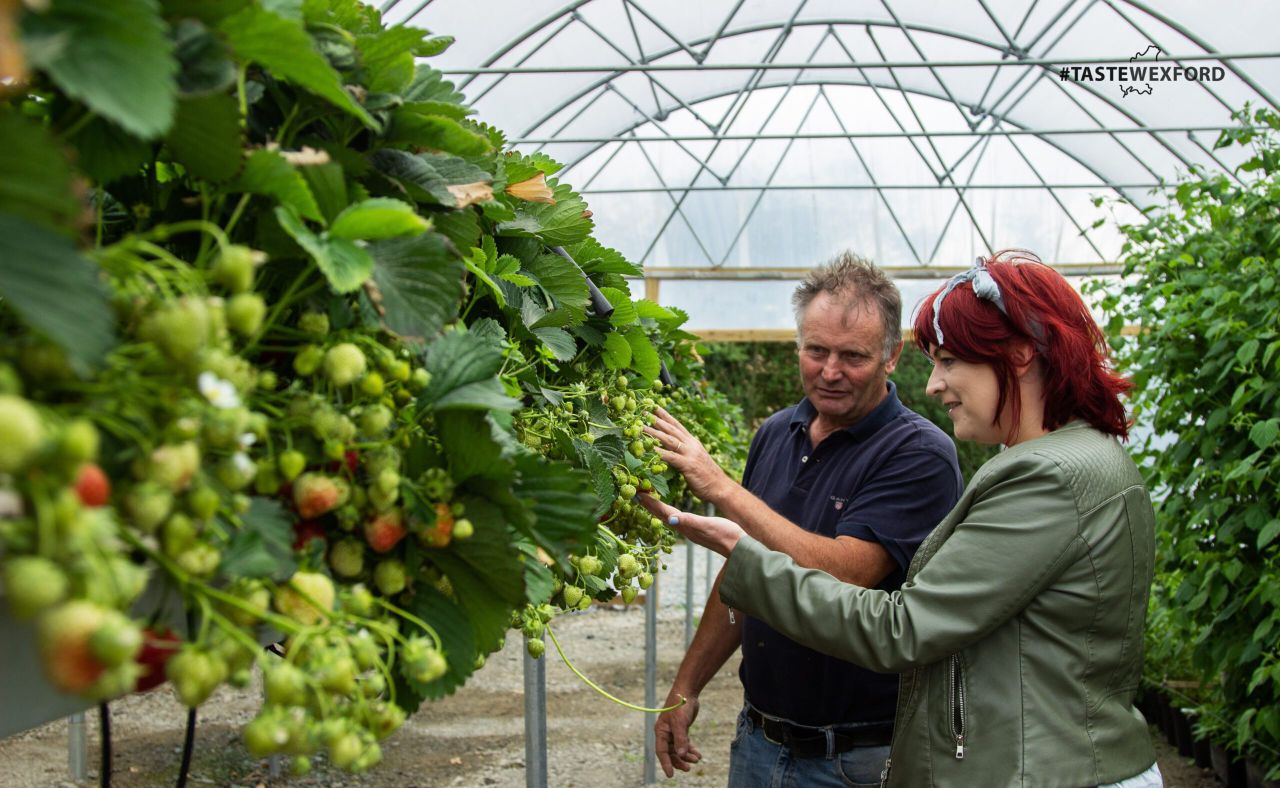 Wheelock Fruits drives expansion as Taste Wexford gains ground