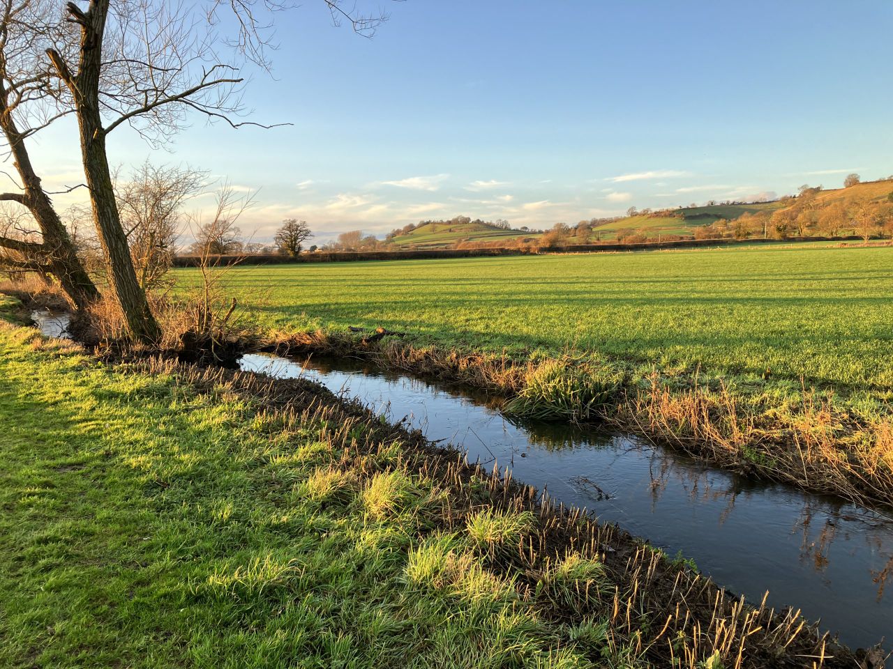 Opinion: Will we see the ‘turning of the stone’ this St. Patrick's Day?