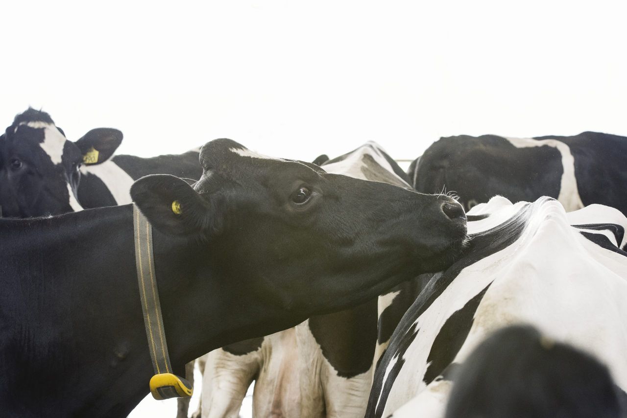 From submission to success: How heat detection systems get results