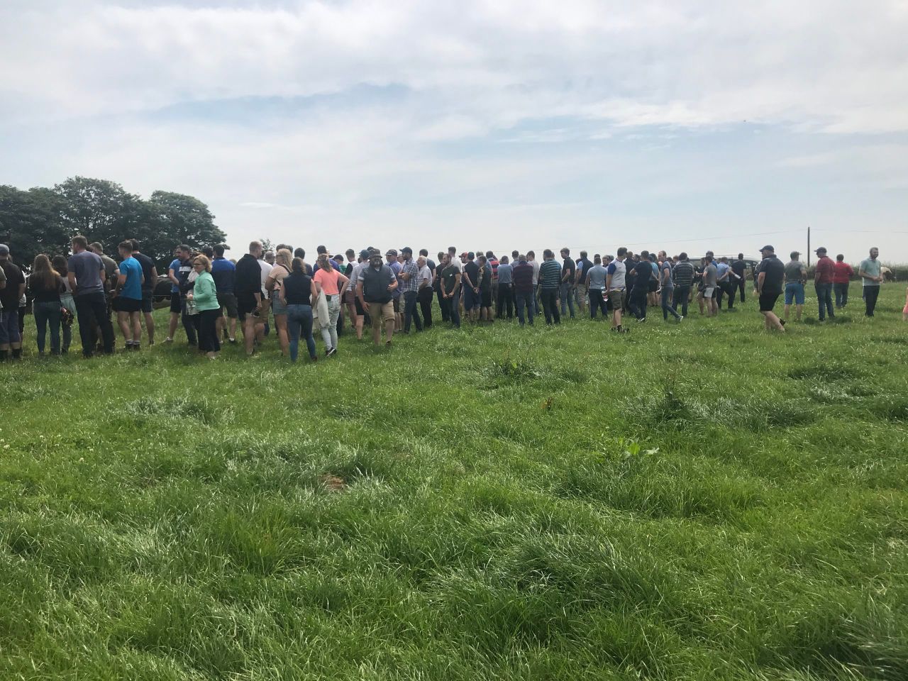 IGA Dairy Summer Tour: Grass is the core of the system
