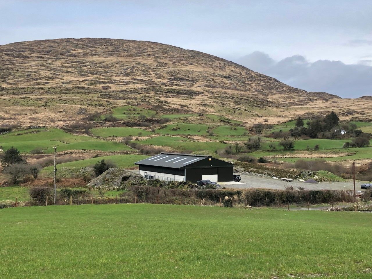 Buildings focus: A brand new 5-bay slatted unit with a lie-back area and crush in Co. Cork
