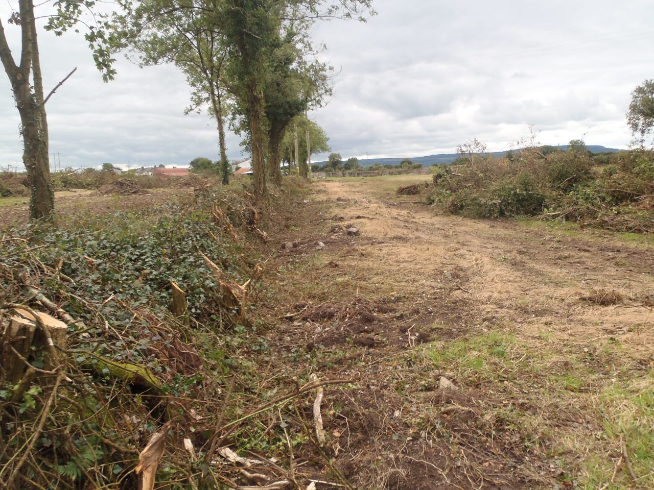 Reminder: Hedge cutting ban to take effect on March 1