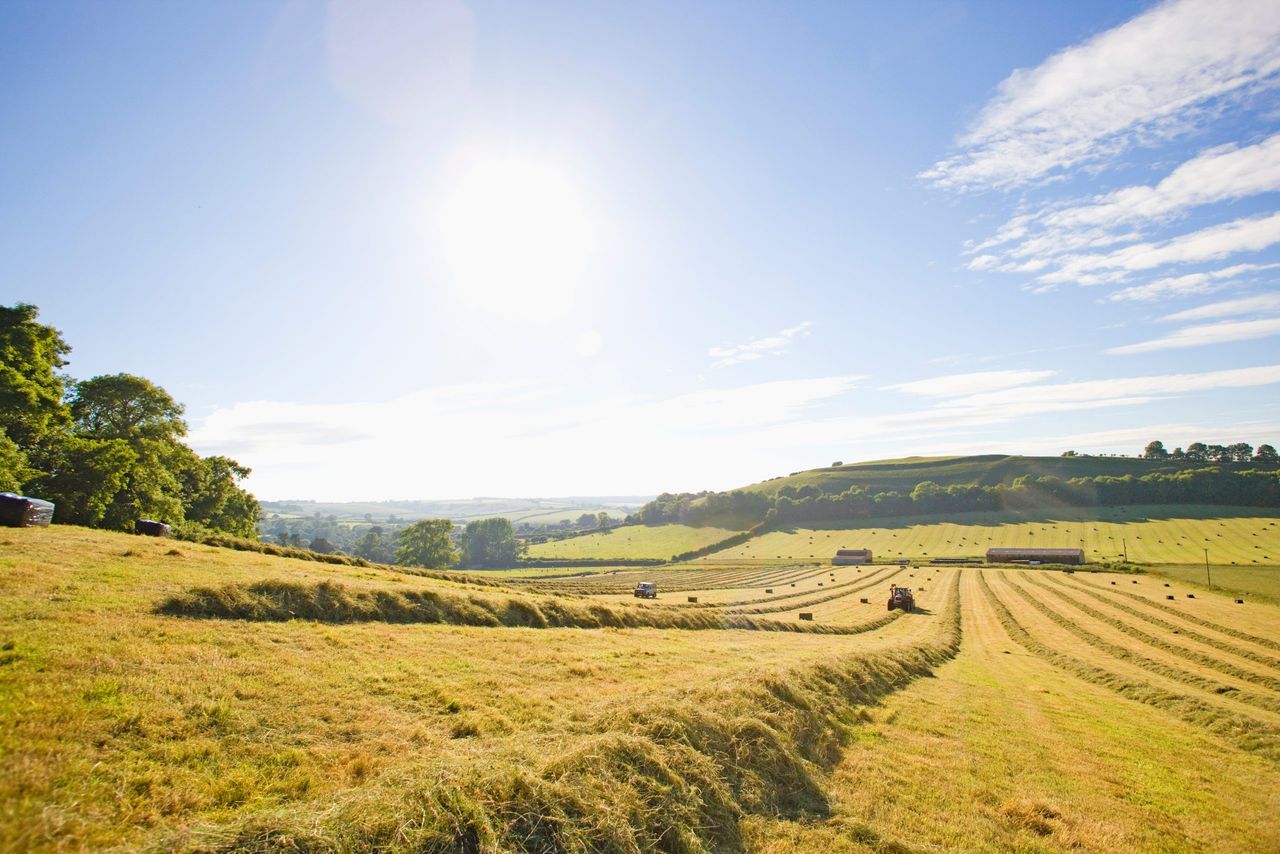High temperature weather warning to come into effect today