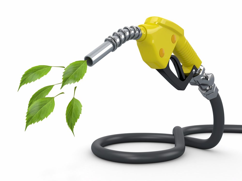 EU biofuel policy has no impact on Irish feed prices