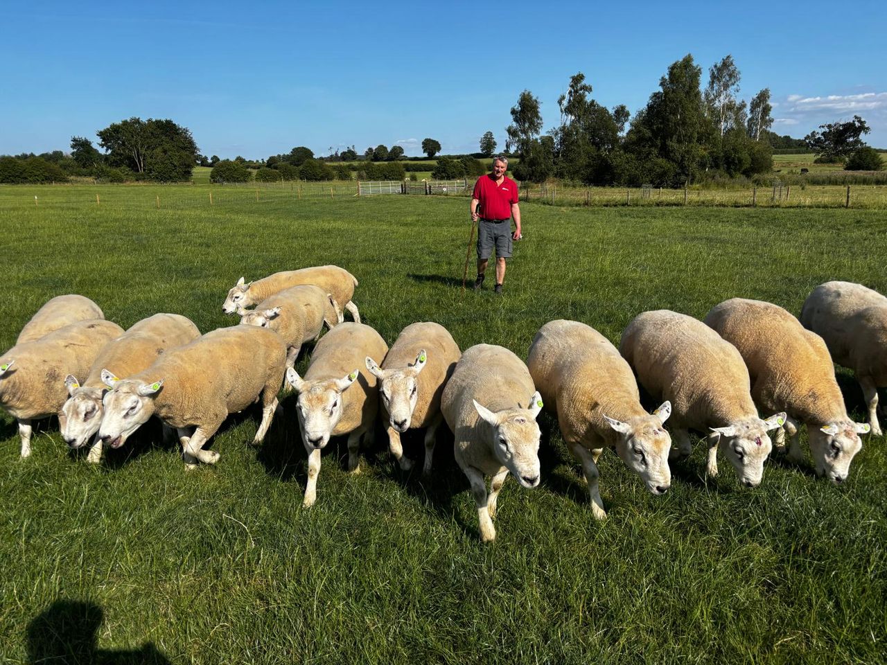 Frontline insights: Why this Kilkenny sheep farmer vaccinated for BTV-3