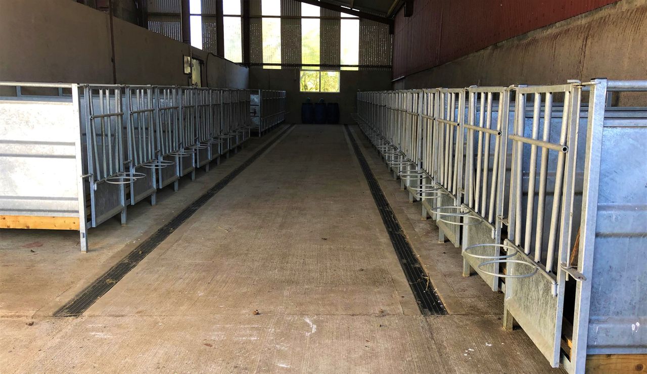 Dairy focus: Calf rearing to the highest of standards in Co. Cavan