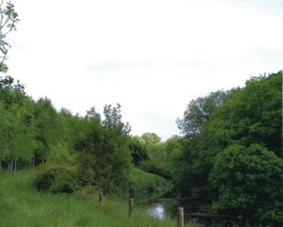 Series of meetings aim to engage farmers in reversing woodland decline