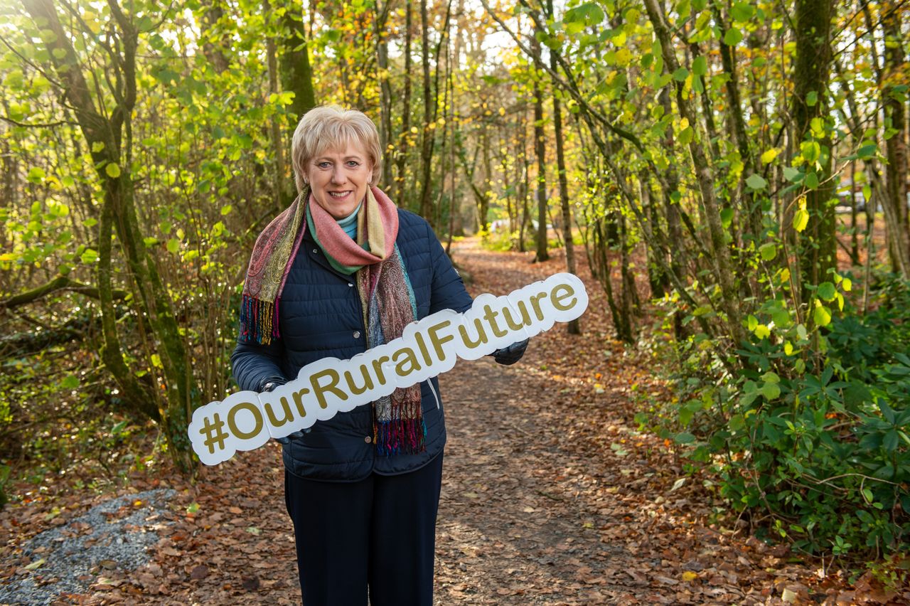 Coillte gets €3m to develop forests & facilities