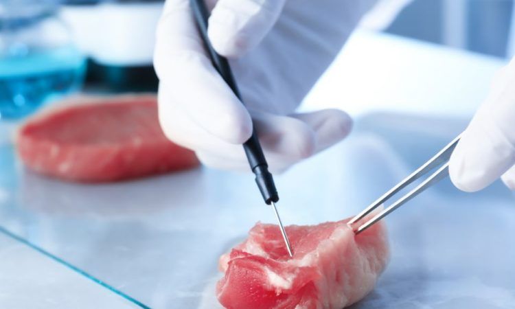 Is lab-grown meat really better for the environment?