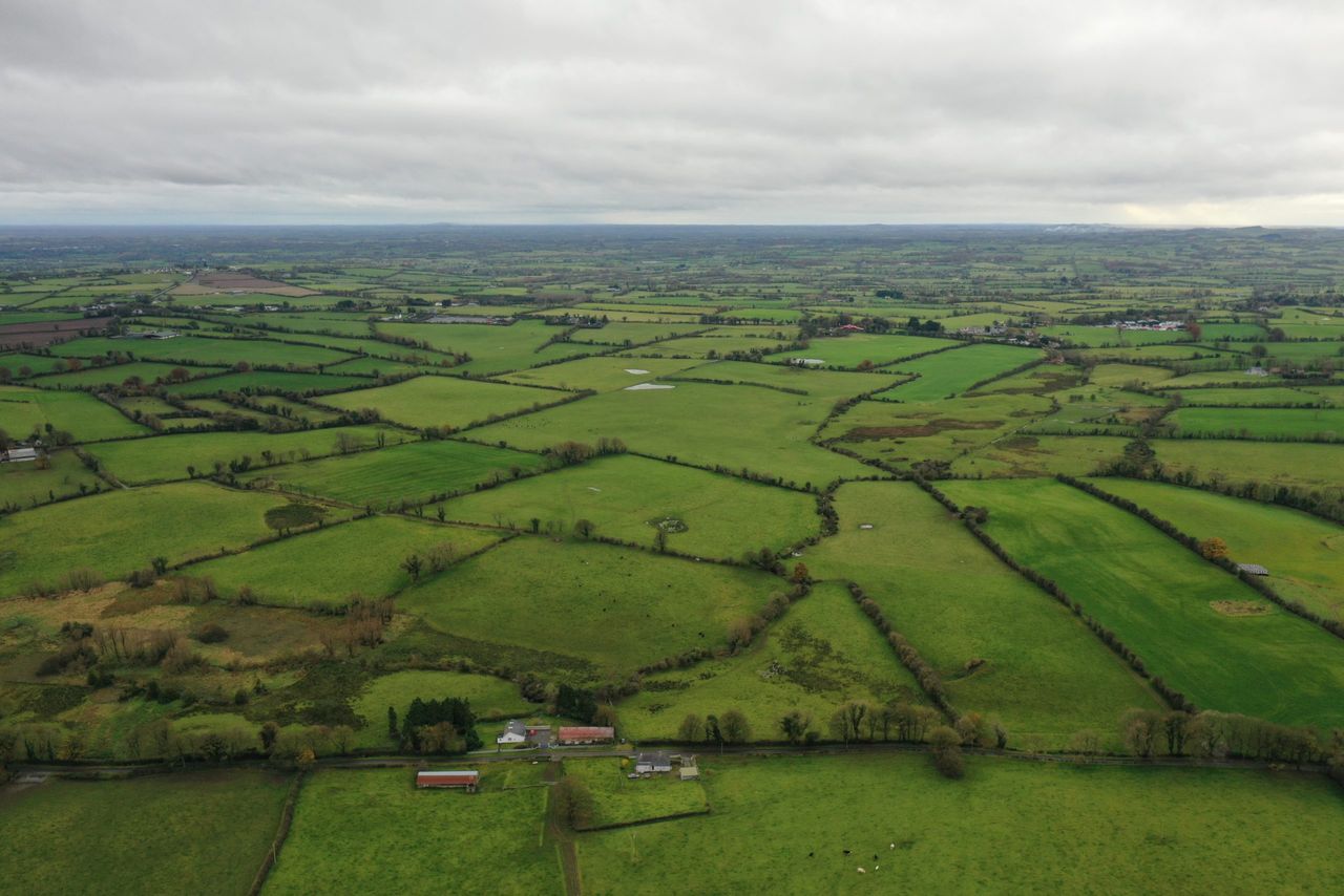 'Well worth a look' - 65ac of Meath land offered for sale