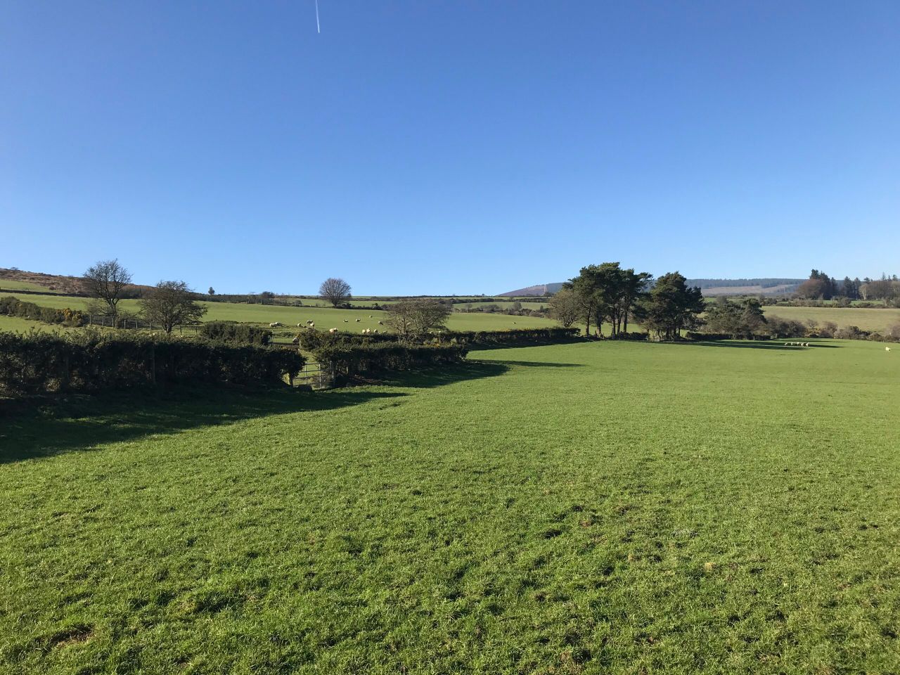 81ac Aughrim farm comes with outbuildings and hill rights
