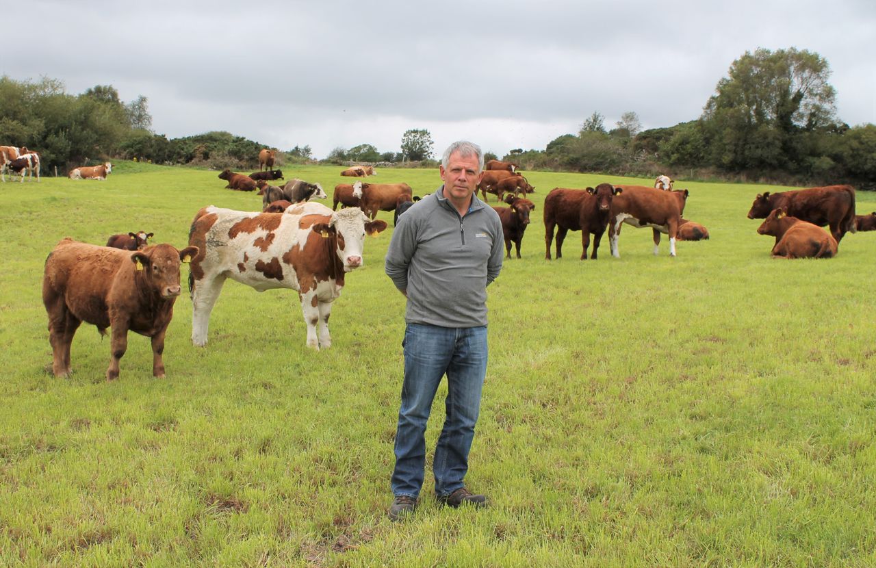 Memo to AgriLand: 'I will not be finishing cattle this winter'