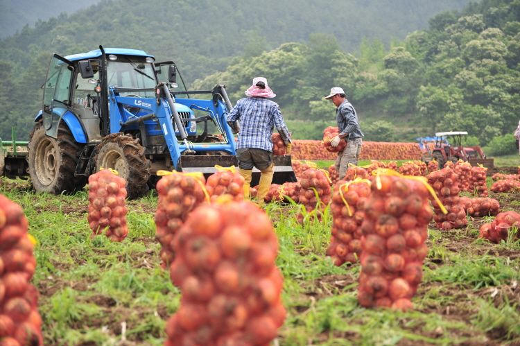 From east to west: More Korean tractors destined for Irish farms?