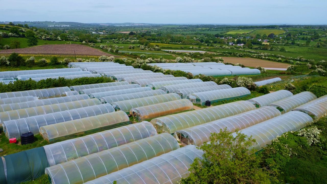 Video: Farmers warn below-cost selling 'has to stop'