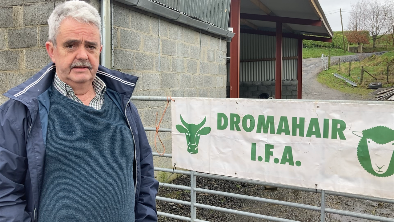 Comiskey considers running for IFA president