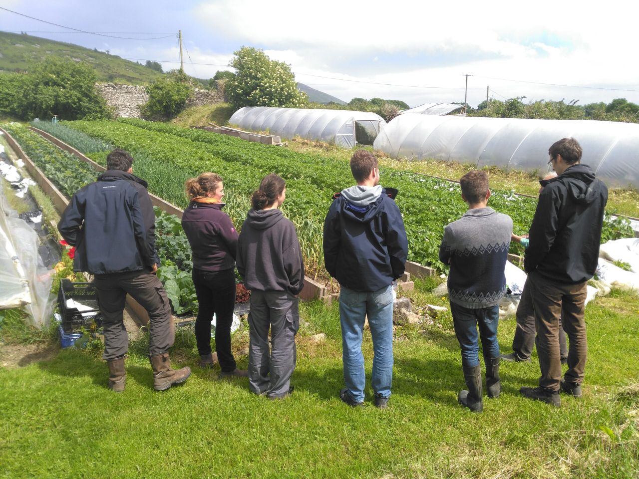 Apprentice organic growers sought for internship programme