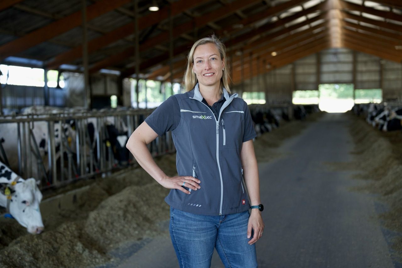 Dry cow data: An early warning for the next lactation