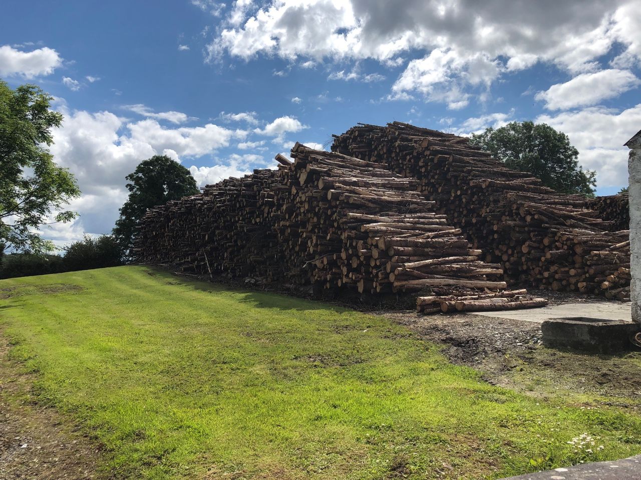 SEEFA calls for complete revamp of forestry programme