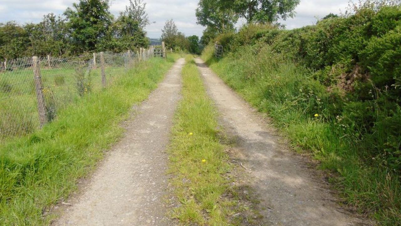 Rural roads need 'critical investment' for road safety - Gildernew