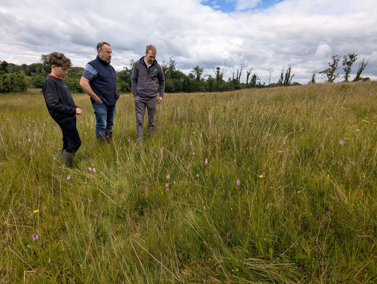 858ha of flower-rich grasslands in Fermanagh back on the map