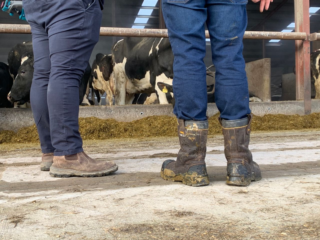 Dairy household vulnerability at highest rate in at least 10 years