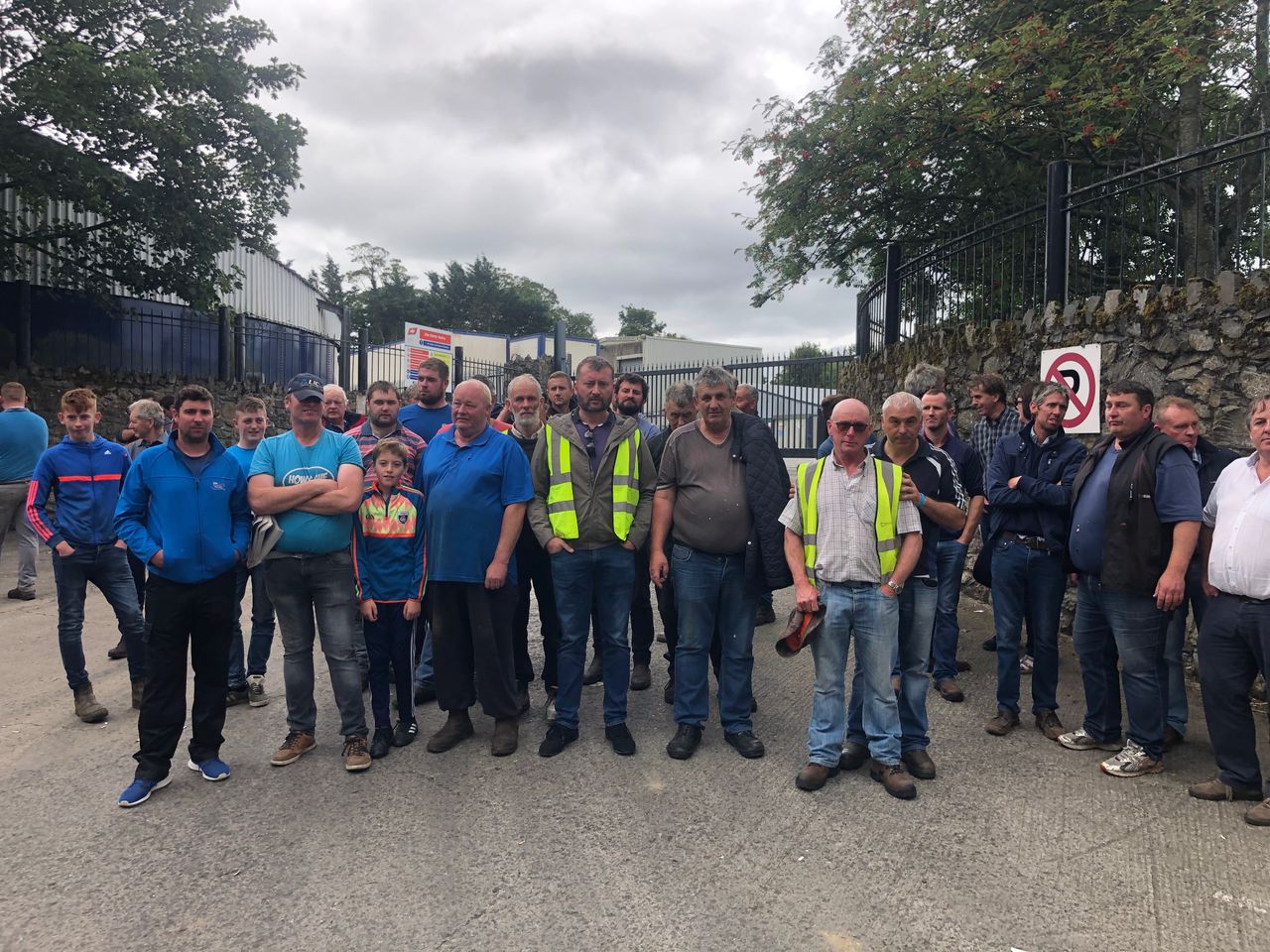 Rural TDs call for Government intervention for beef sector