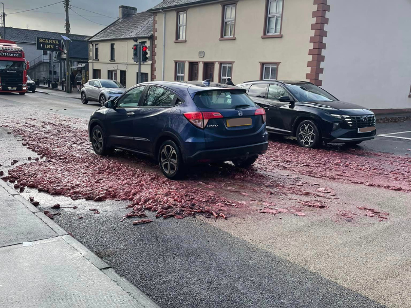 Council commended after clean up of poultry waste spill in Monaghan