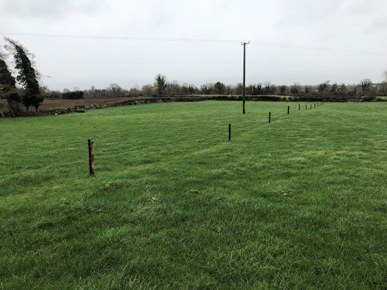 GrowthWatch: Graze paddocks now that you want to be hitting early next spring