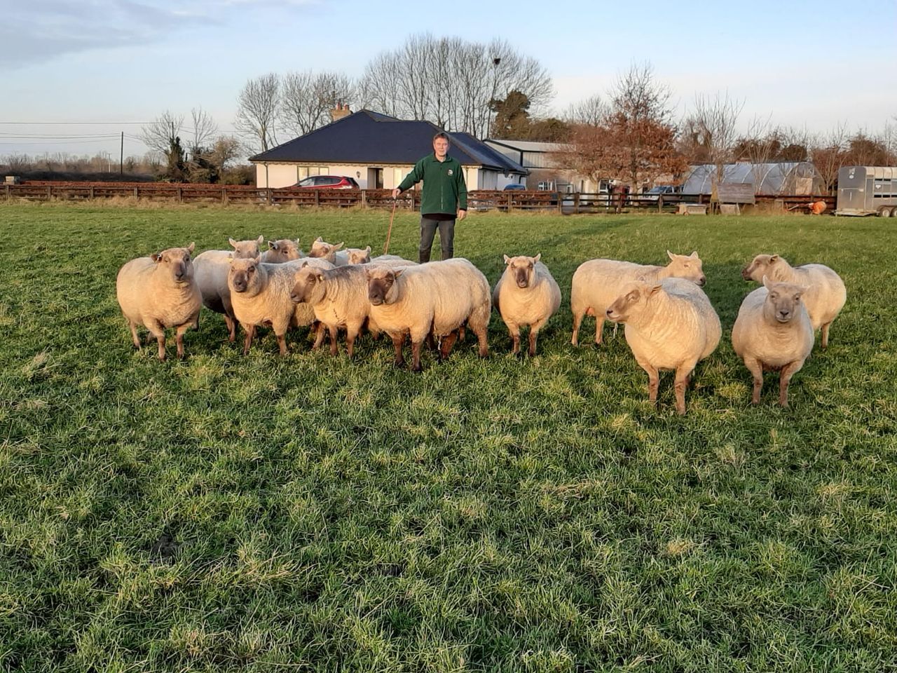 Sheep Focus: 'I find that the Vendéens are very prolific; I rarely have a single lamb'